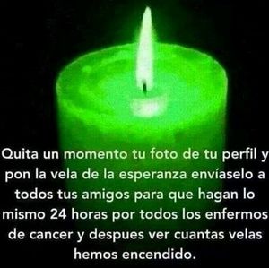 Meet your Posher, Leo